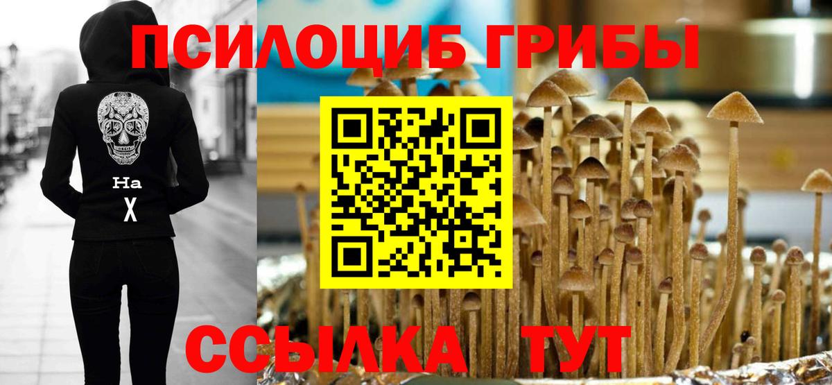 Ирбит  Галлюциногенные грибы мицелий  Вход с VPN 