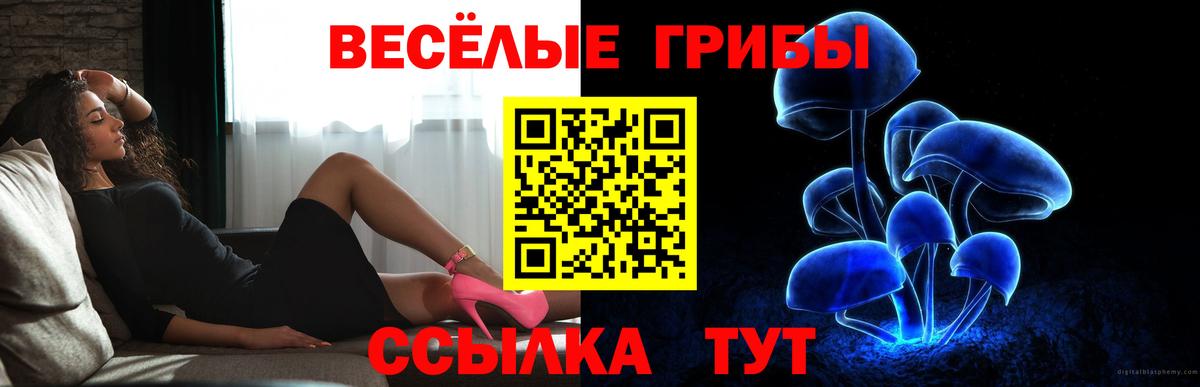 Псилоцибиновые грибы MAGIC MUSHROOMS Ирбит